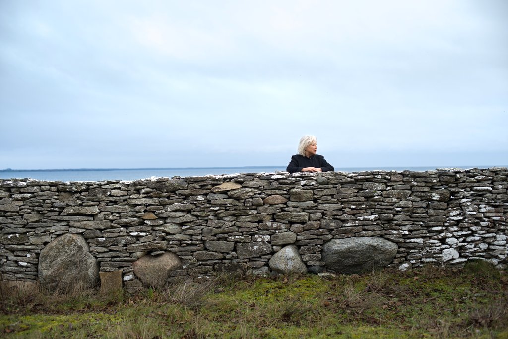 Photo du film À la recherche d'Ingmar Bergman