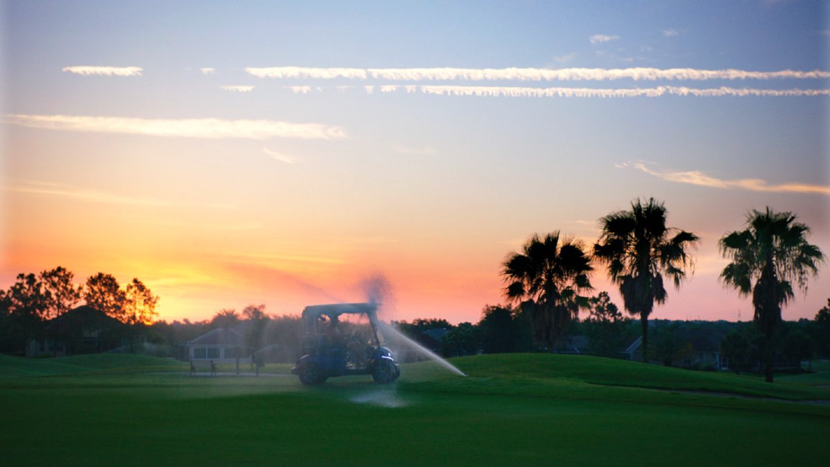 Photo du film Some Kind of Heaven