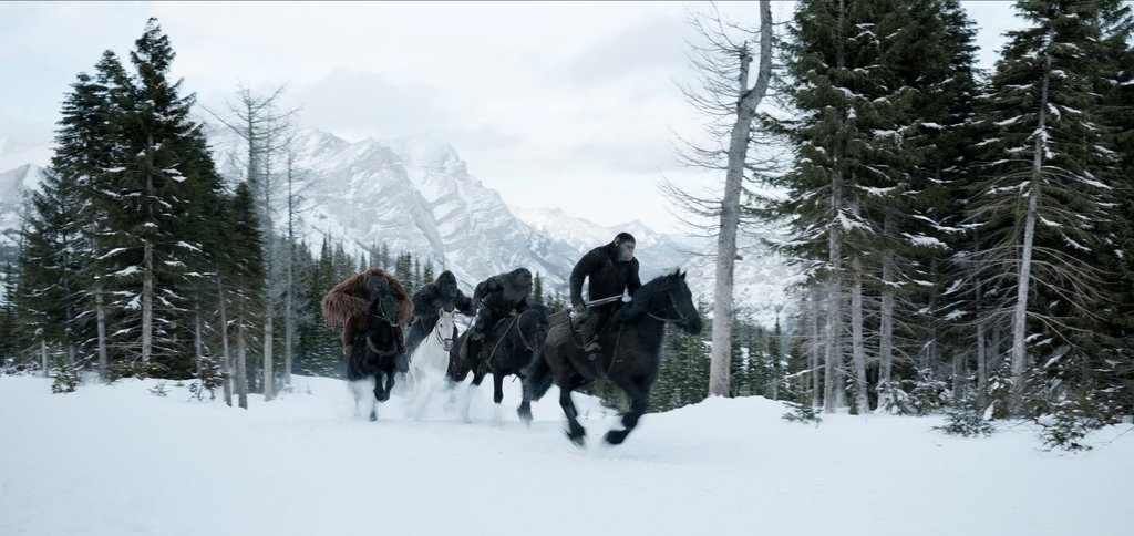 Photo from the movie War for the Planet of the Apes