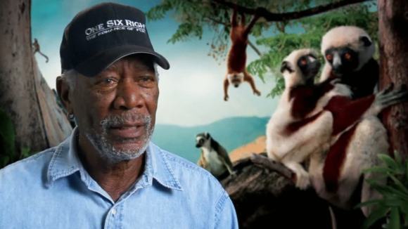 Photo from the movie Island of Lemurs: Madagascar