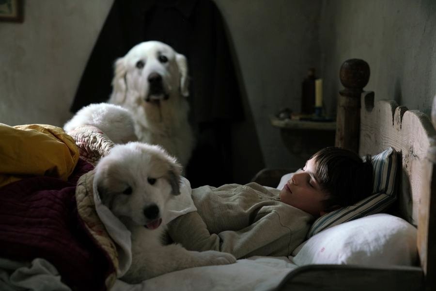 Photo du film Belle et Sébastien 3: Le dernier chapitre