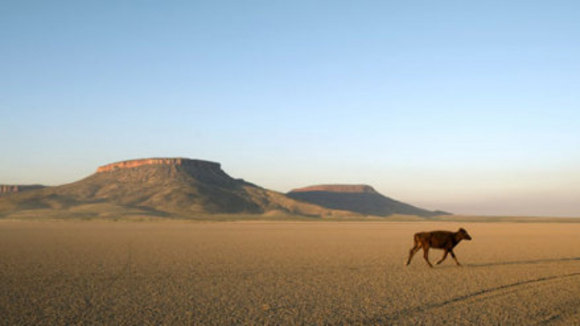 Photo from the movie Australia