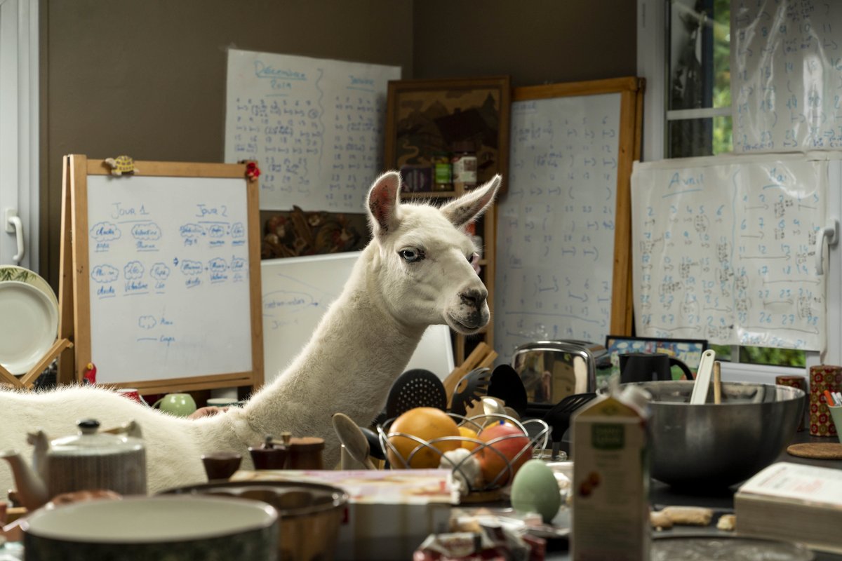 Photo from the movie Family Swap