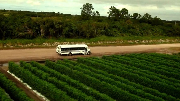 Photo du film Food Chains