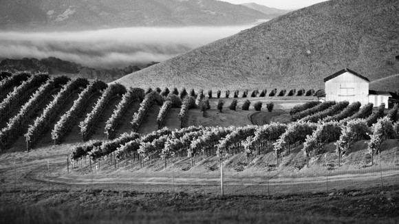 Photo du film Food Chains