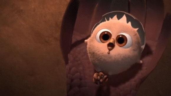 Photo du film Mission dindons