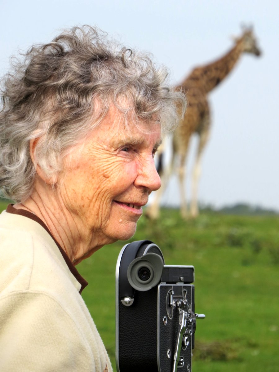 Photo du film The Woman Who Loves Giraffes