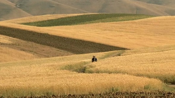 Photo du film Le Vent Nous Emportera