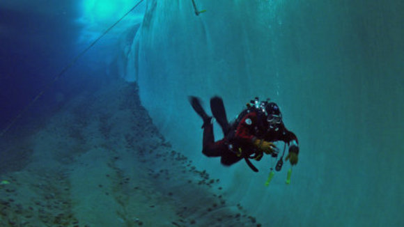 Photo from the movie Encounters at the End of the World