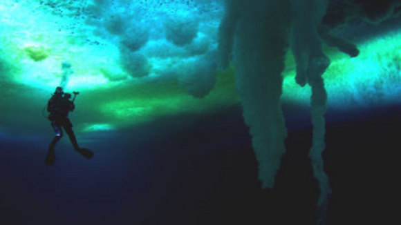 Photo from the movie Encounters at the End of the World