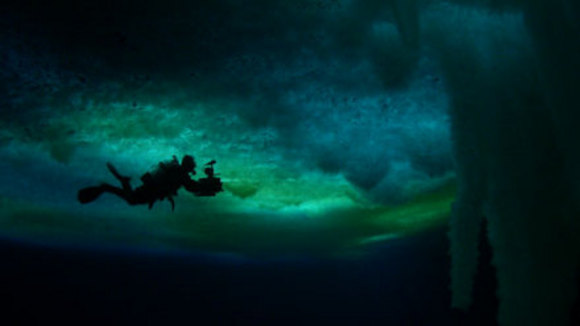 Photo from the movie Encounters at the End of the World