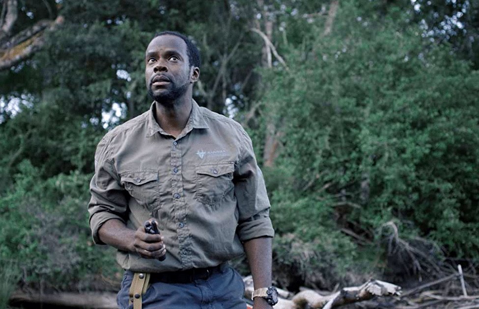 Photo from the movie Gaia