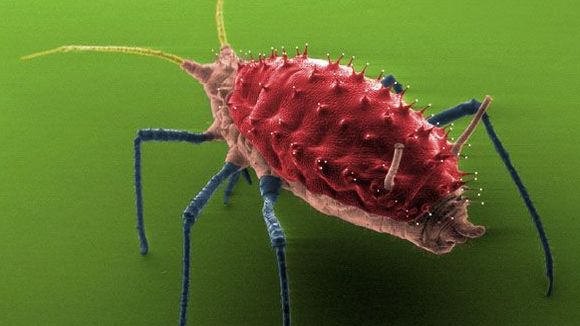 Photo du film Les mystères du monde invisible