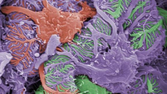 Photo du film Les mystères du monde invisible