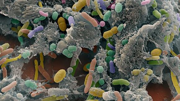 Photo du film Les mystères du monde invisible