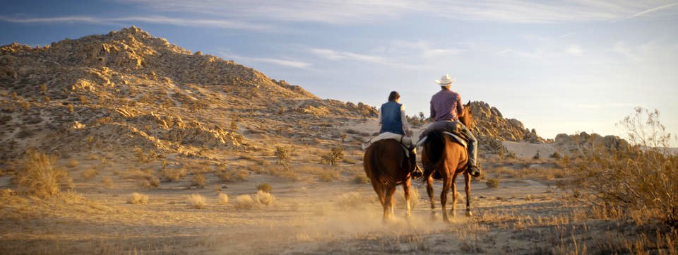 Photo from the movie Running Wild