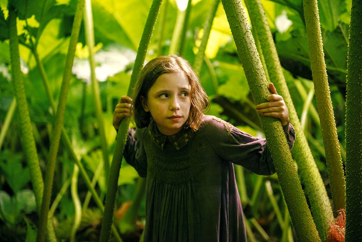 Photo du film The Secret Garden