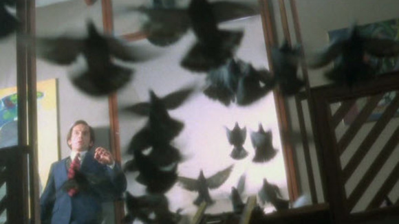 Photo du film The Visitor