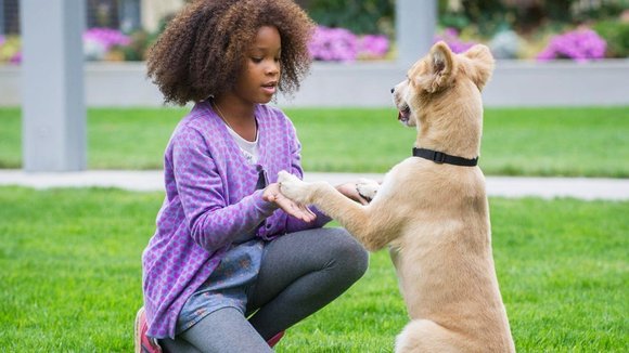 Photo from the movie Annie