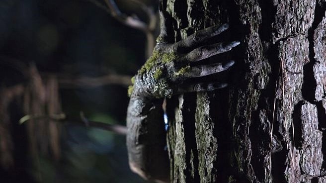 Photo du film Enclosure