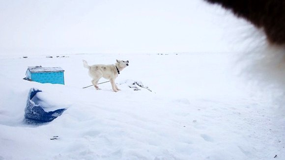 Photo from the movie Life Off Grid