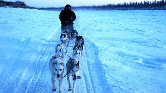 Photo from the movie Life Off Grid