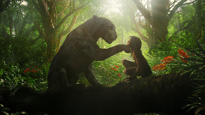 Photo from the movie Mowgli