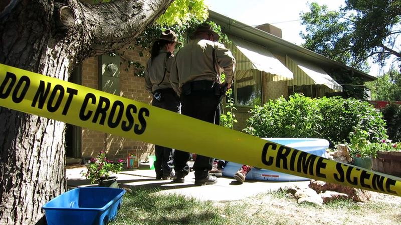 Photo from the movie The Lake