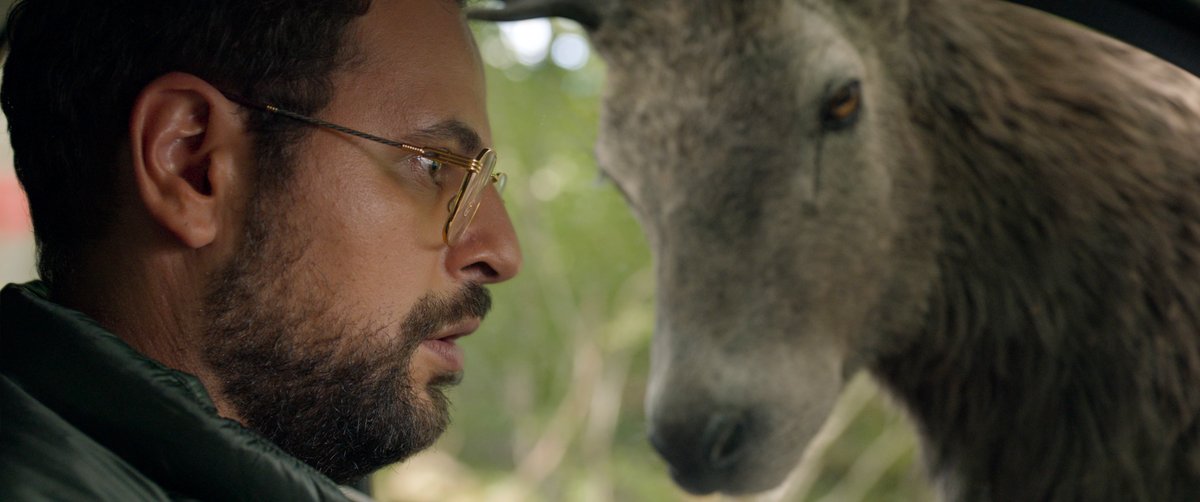 Photo du film Chasse gardée
