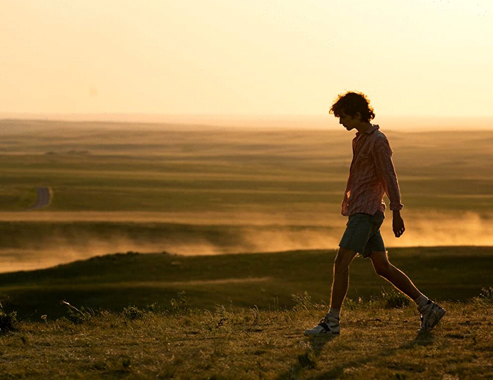 Photo du film Bones and All