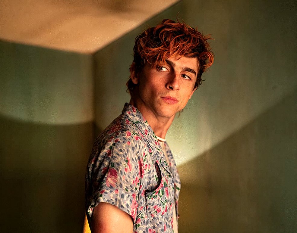 Photo du film Bones and All