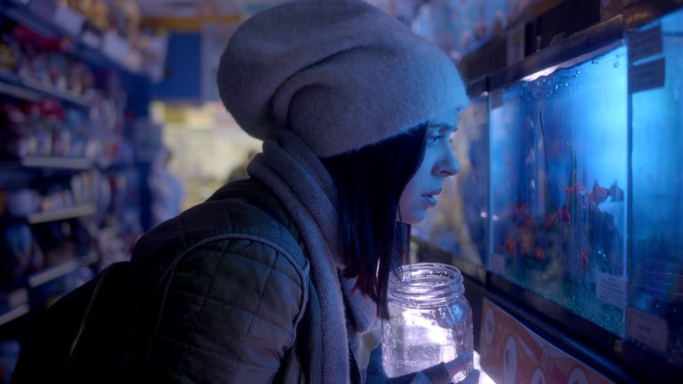 Photo from the movie Carrie Pilby