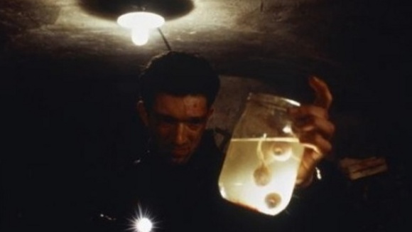 Photo du film Les Rivières pourpres