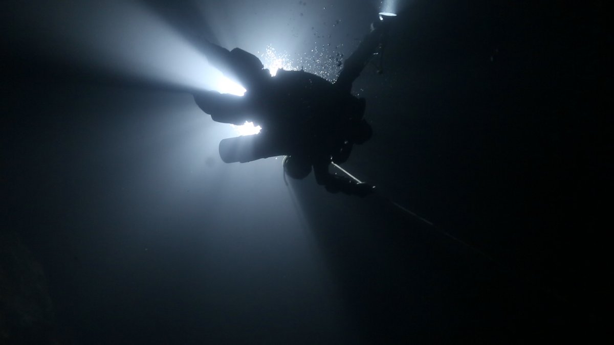 Photo from the movie Dave Not Coming Back