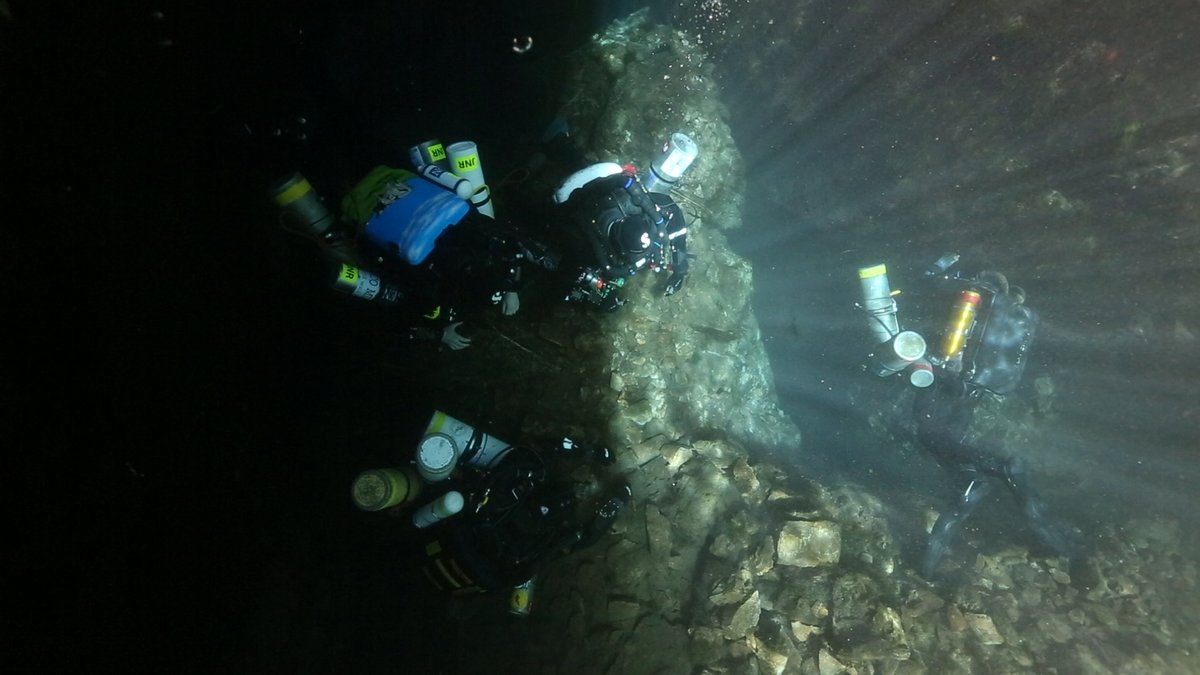 Photo from the movie Dave Not Coming Back