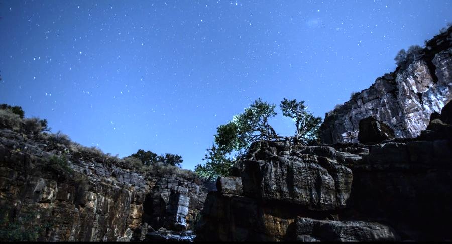 Photo from the movie Dave Not Coming Back