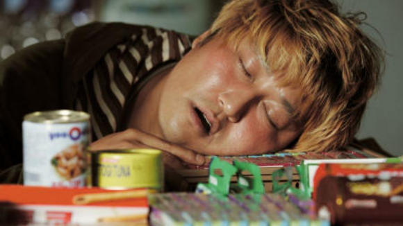 Photo du film The Host