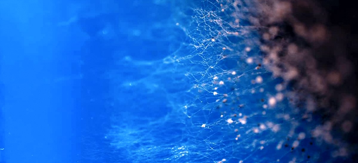 Photo from the movie Masking Threshold [2021]