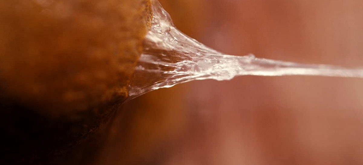 Photo from the movie Masking Threshold [2021]