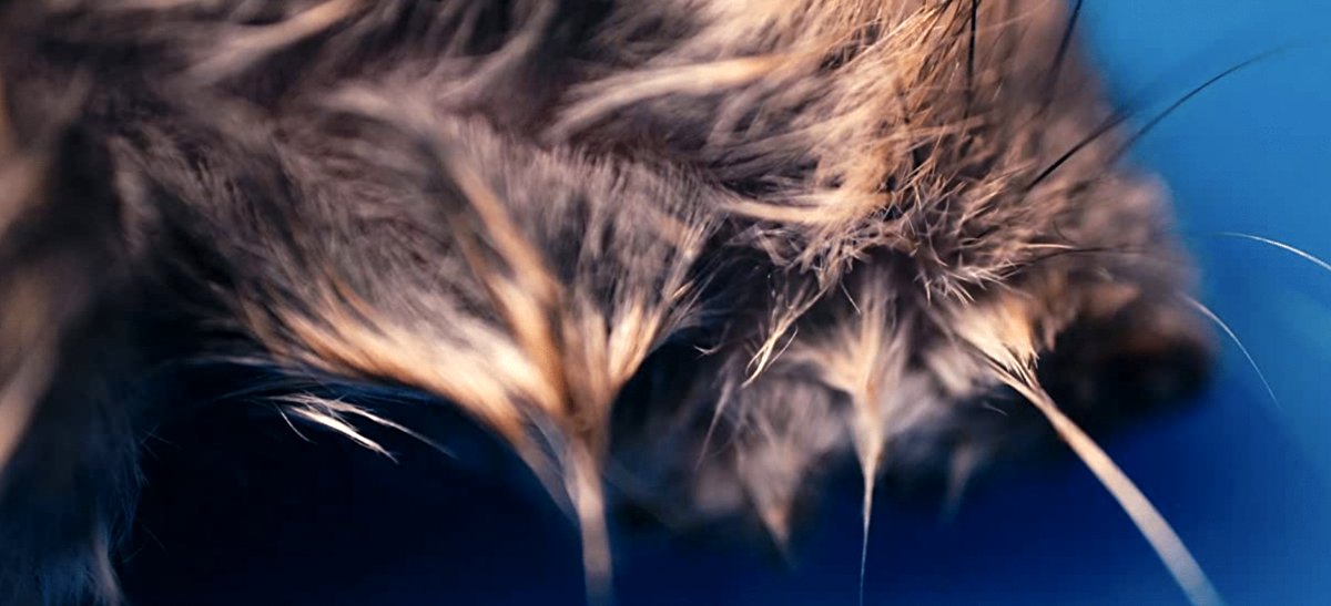 Photo from the movie Masking Threshold [2021]