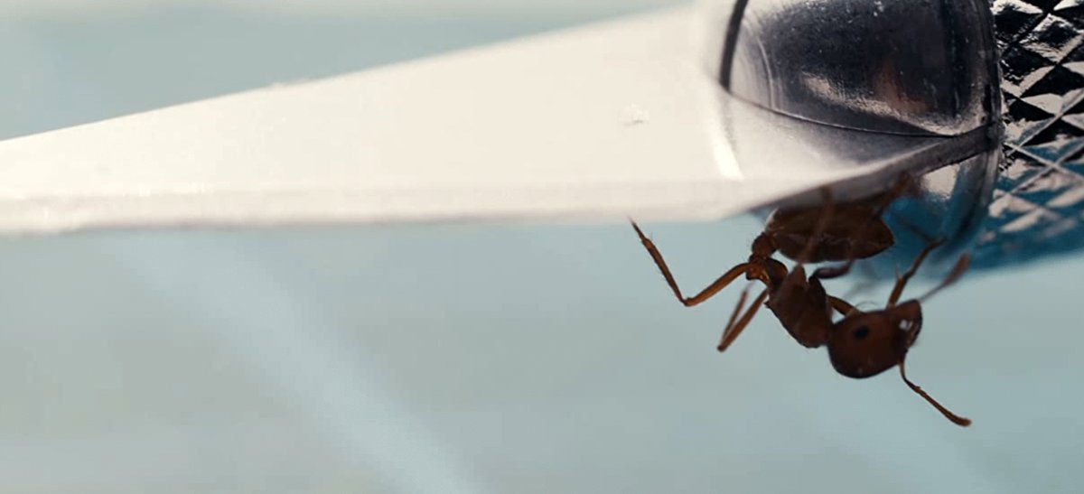 Photo from the movie Masking Threshold [2021]