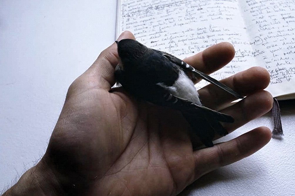 Photo from the movie Une fois que tu sais