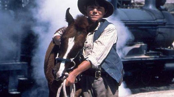 Photo du film Crinière au vent