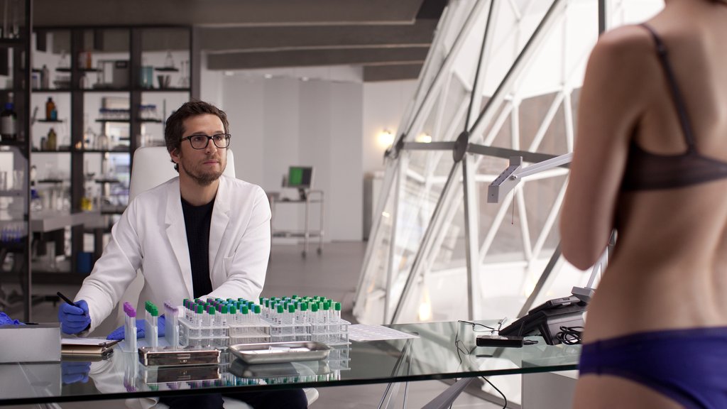 Photo du film Le Secret des banquises