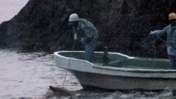 Photo du film The Cove