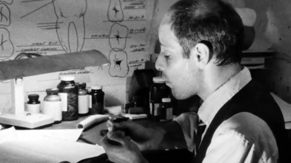 Photo from the movie Dark Seduction