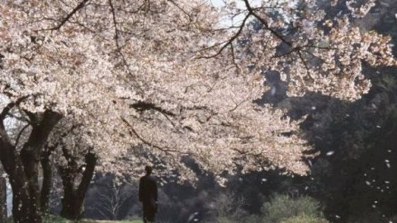 Photo du film Le Goût du thé