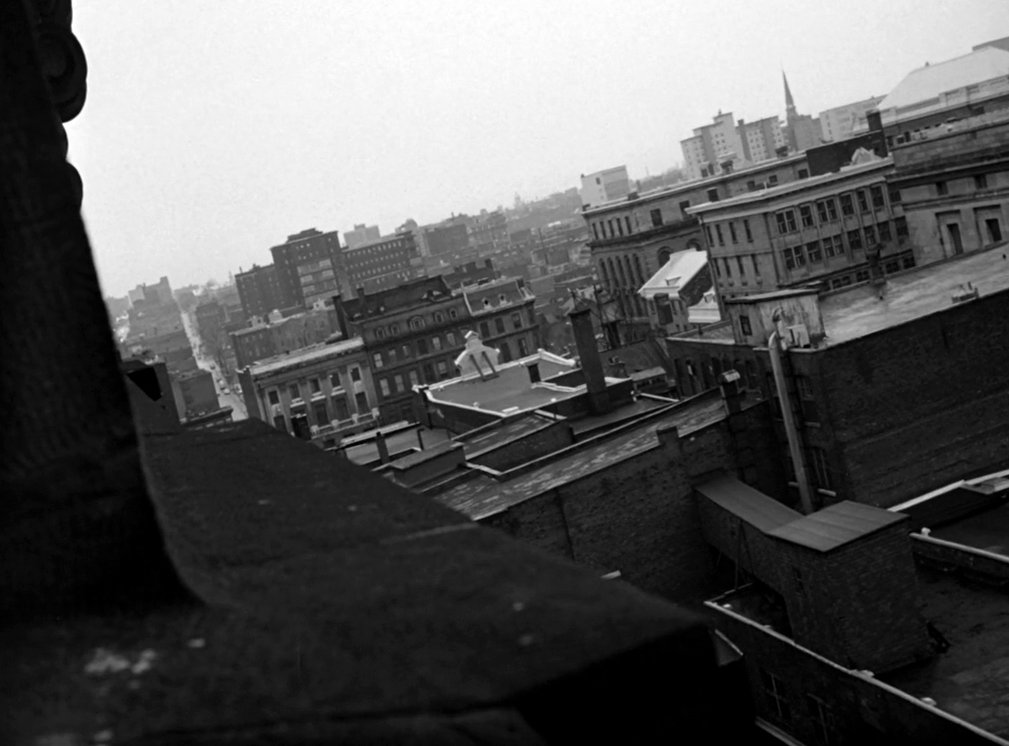 Photo from the movie Le Chat dans le sac