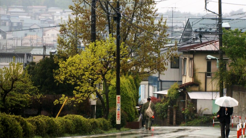 Photo du film Blue Gold: American Jeans