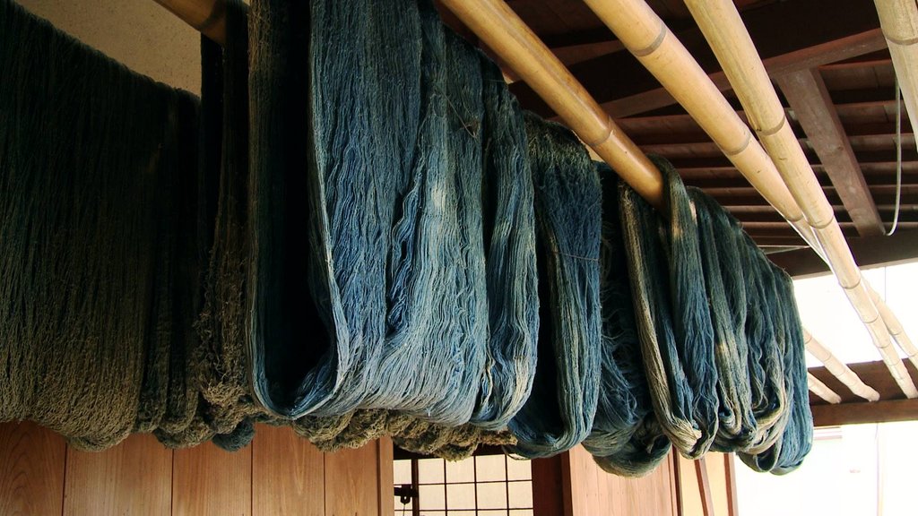 Photo du film Blue Gold: American Jeans